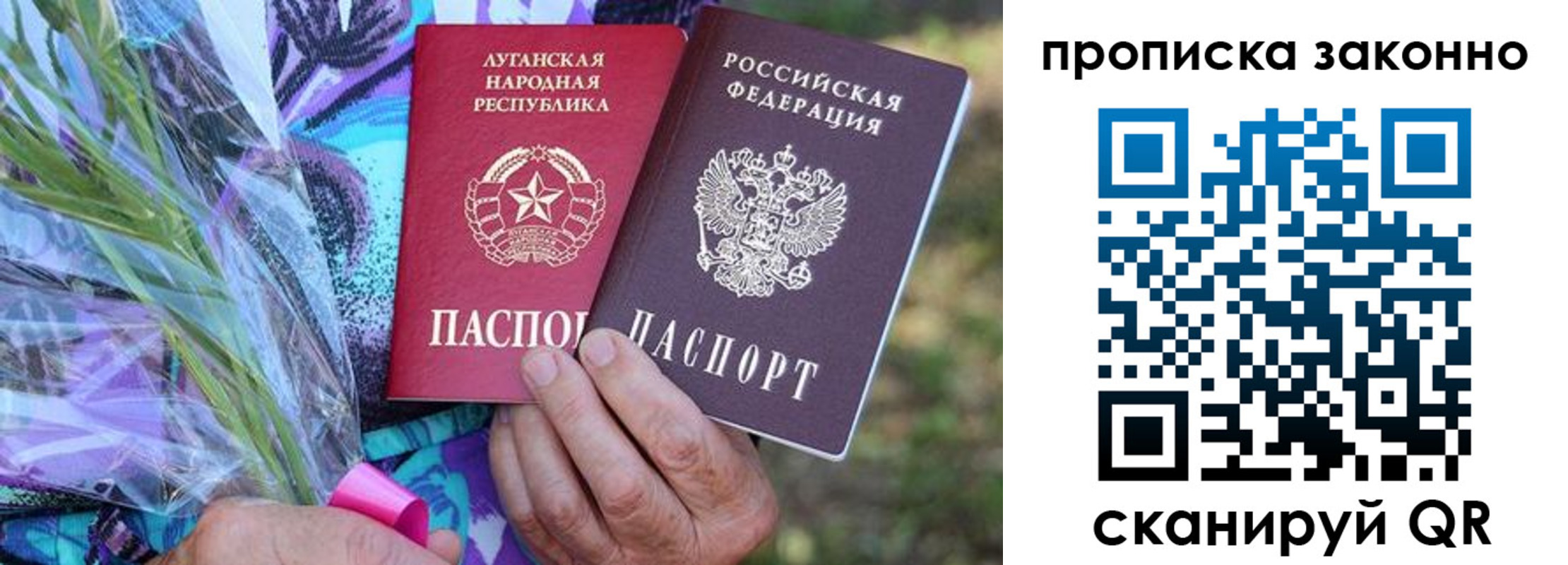 прописка для школы в Кировграде